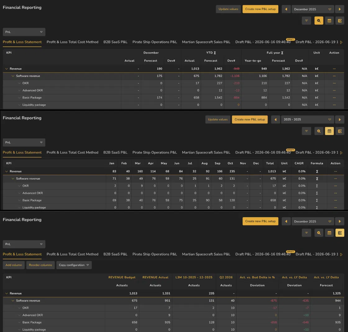 The same P&L can be viewed in three ways: **Actual Comparison** focuses on a selected period and its comparison, **Actual Overview** spreads performance across the chosen date range, and **Flexible Columns** lets you define the reporting columns yourself.